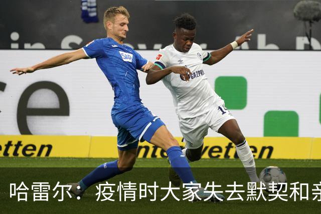 哈雷尔：疫情时大家失去默契&亲朋去世 况且热火三巨头首年也输了